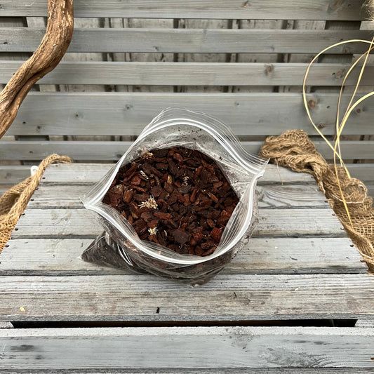 Orchideensubstrat, unser Bestes für Phalaenopsis BLATTPOST