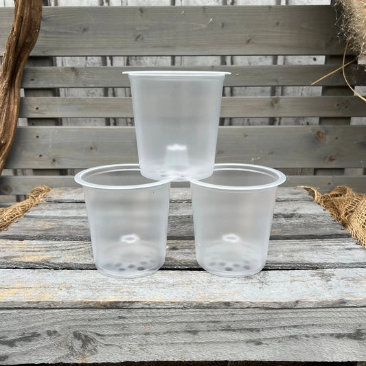 Orchideentöpfe, 12cm, transparent BLATTPOST