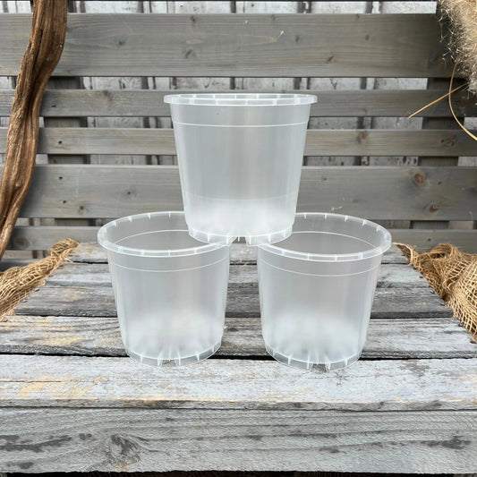 Orchideentöpfe, 13cm, transparent BLATTPOST