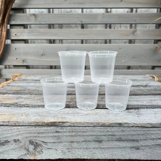 Orchideentöpfe, 6cm, transparent BLATTPOST