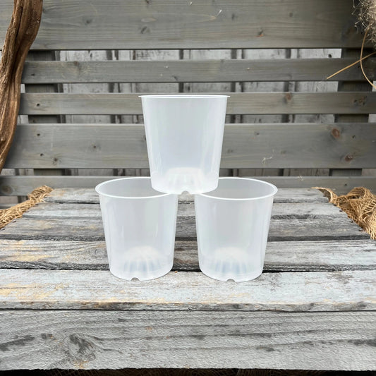 Orchideentöpfe, 9cm, transparent BLATTPOST