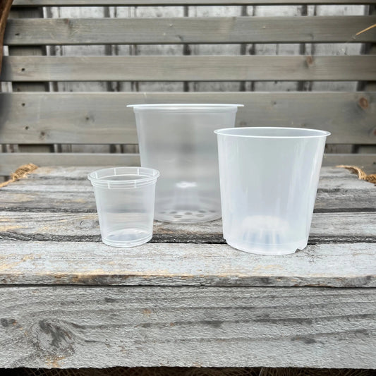 Orchideentöpfe, verschiedene Größen im Set, transparent BLATTPOST