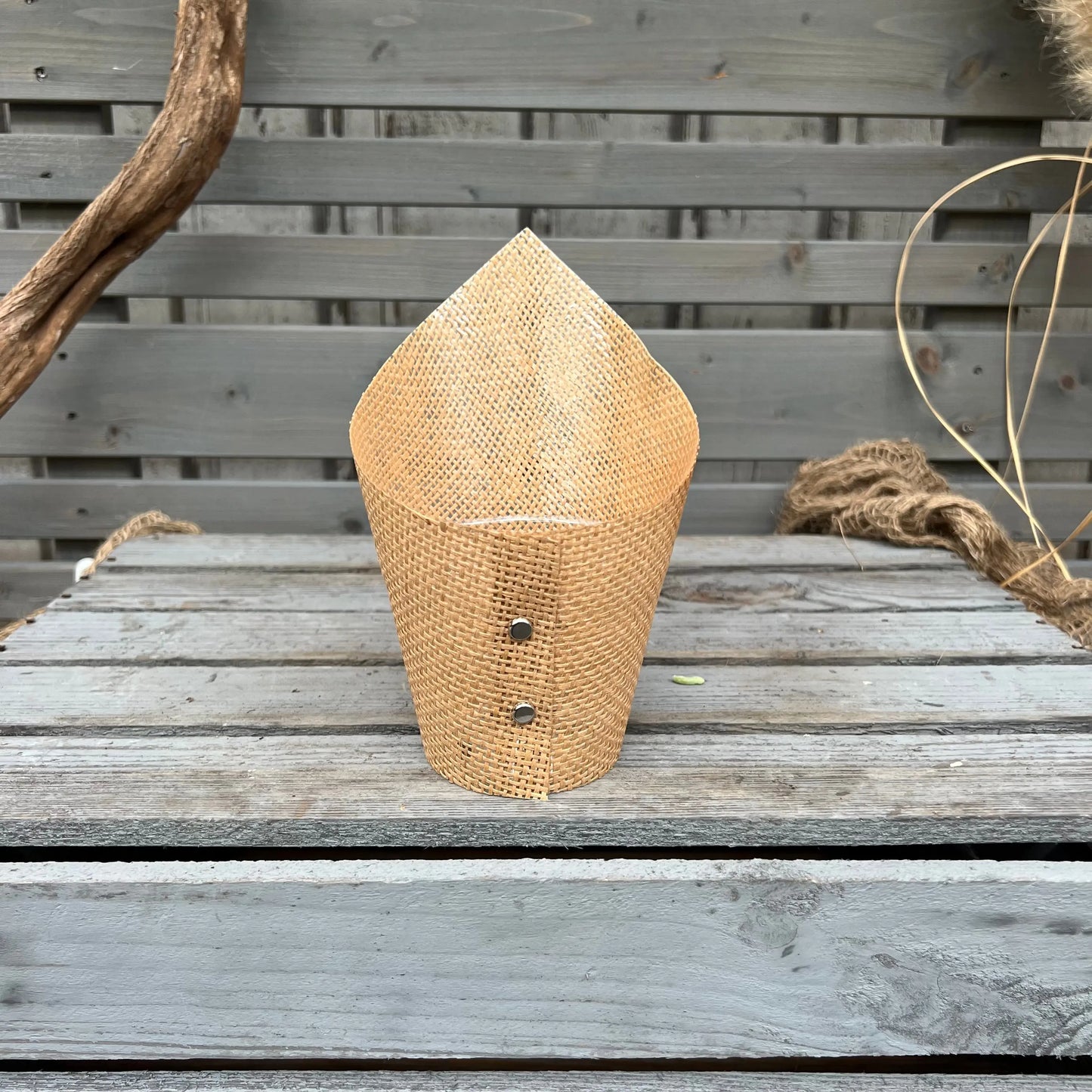 Schmetterlingsorchidee, 3er Set BLATTPOST