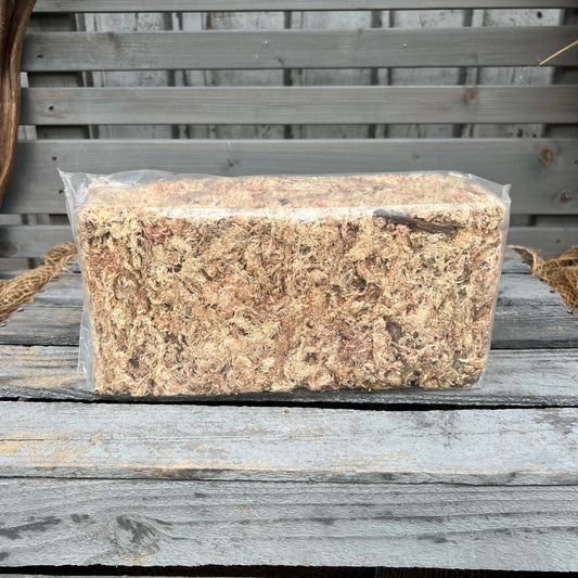 Sphagnum, 150gr Beutel BLATTPOST