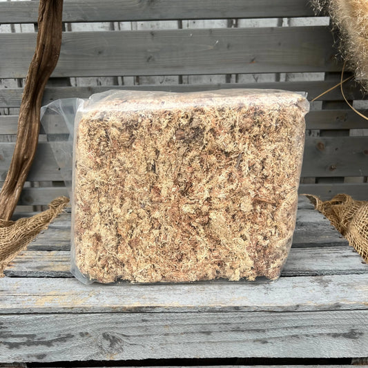 Sphagnum, 500gr Beutel BLATTPOST