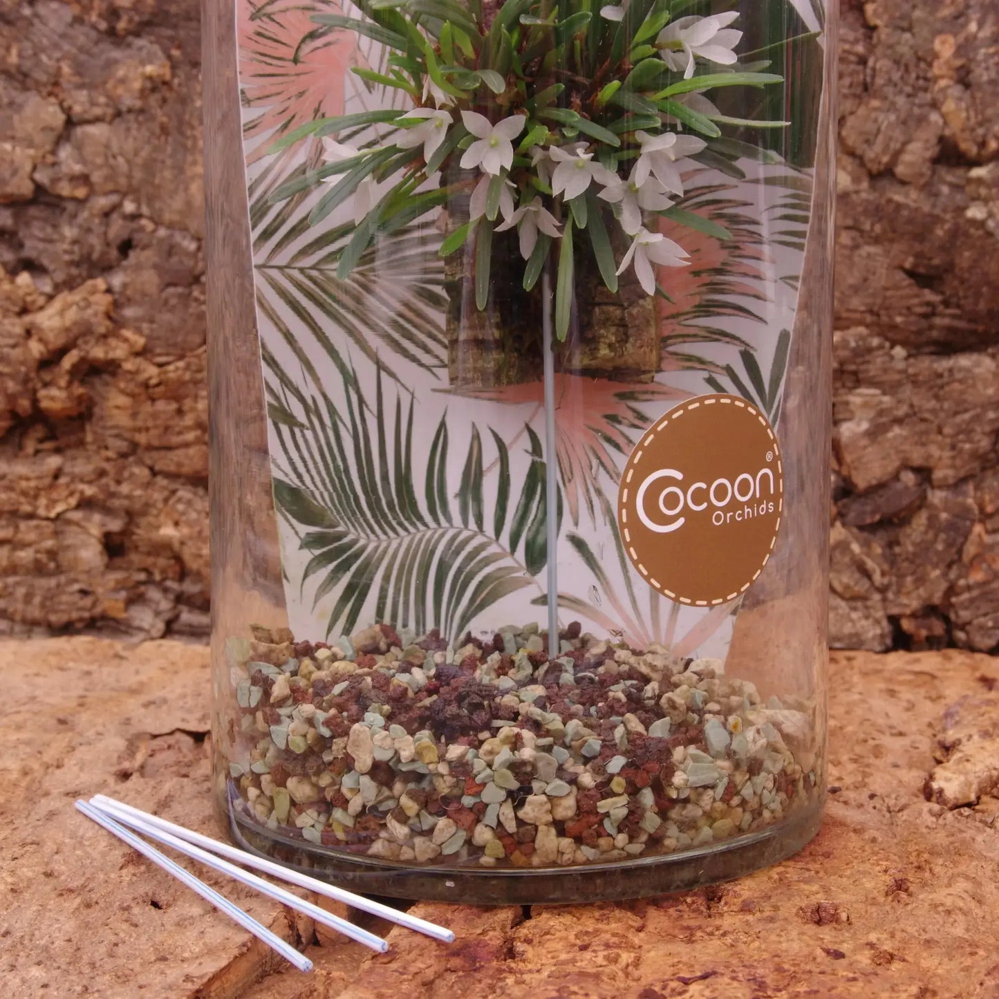 Cocoon Orchid Pflegesystem mit Aquastick – integrierte Bewässerung für Orchidee im Glas von Blattpost