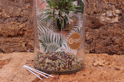 Orchid pots, various sizes in a set, terracotta