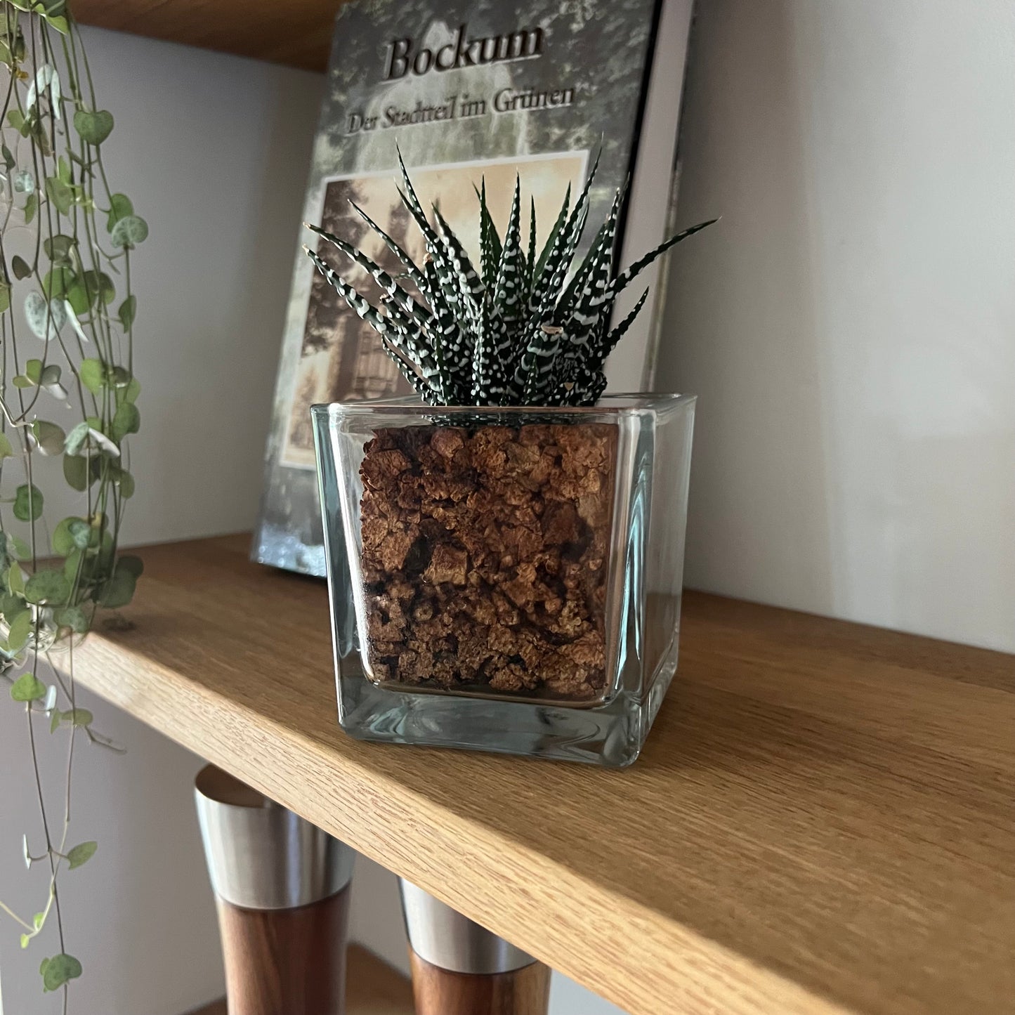 CORKIO - Your plastic-free plant in a cork pot 