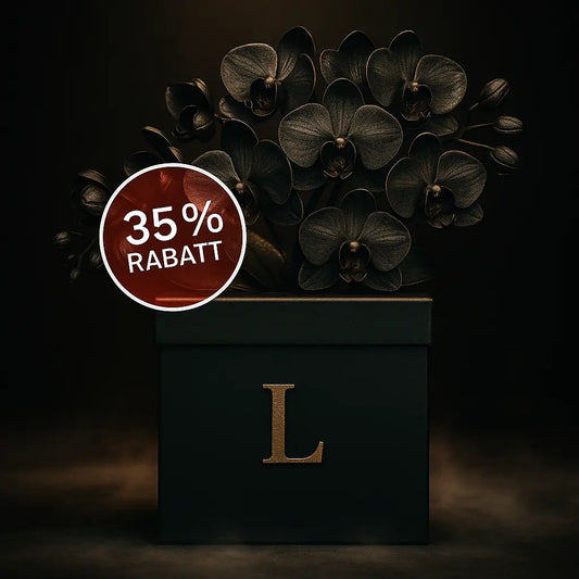 Mystery Box L - 35% Rabatt