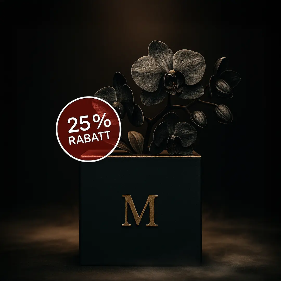 Mystery Box M - 25% Rabatt