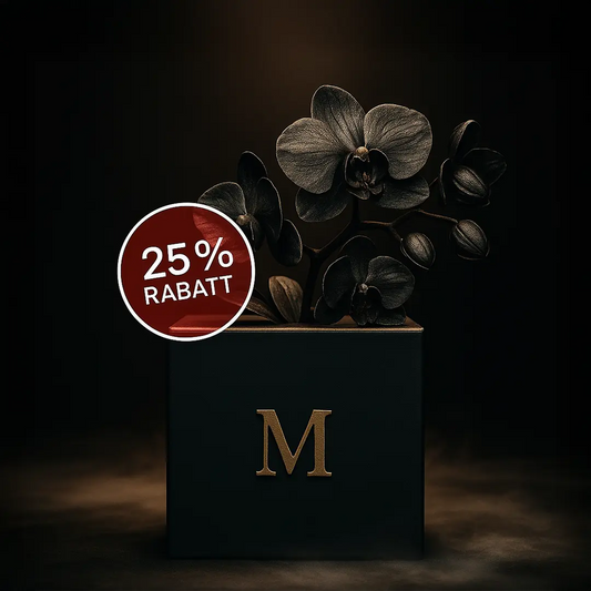 Mystery Box M - 25% Rabatt