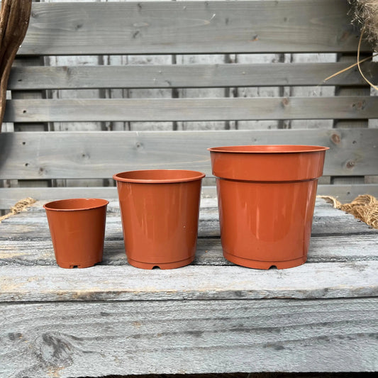 Orchideentöpfe, verschiedene Größen im Set, terracotta BLATTPOST