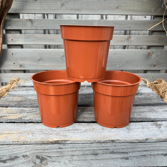 Orchideentöpfe, 12cm, terracotta BLATTPOST