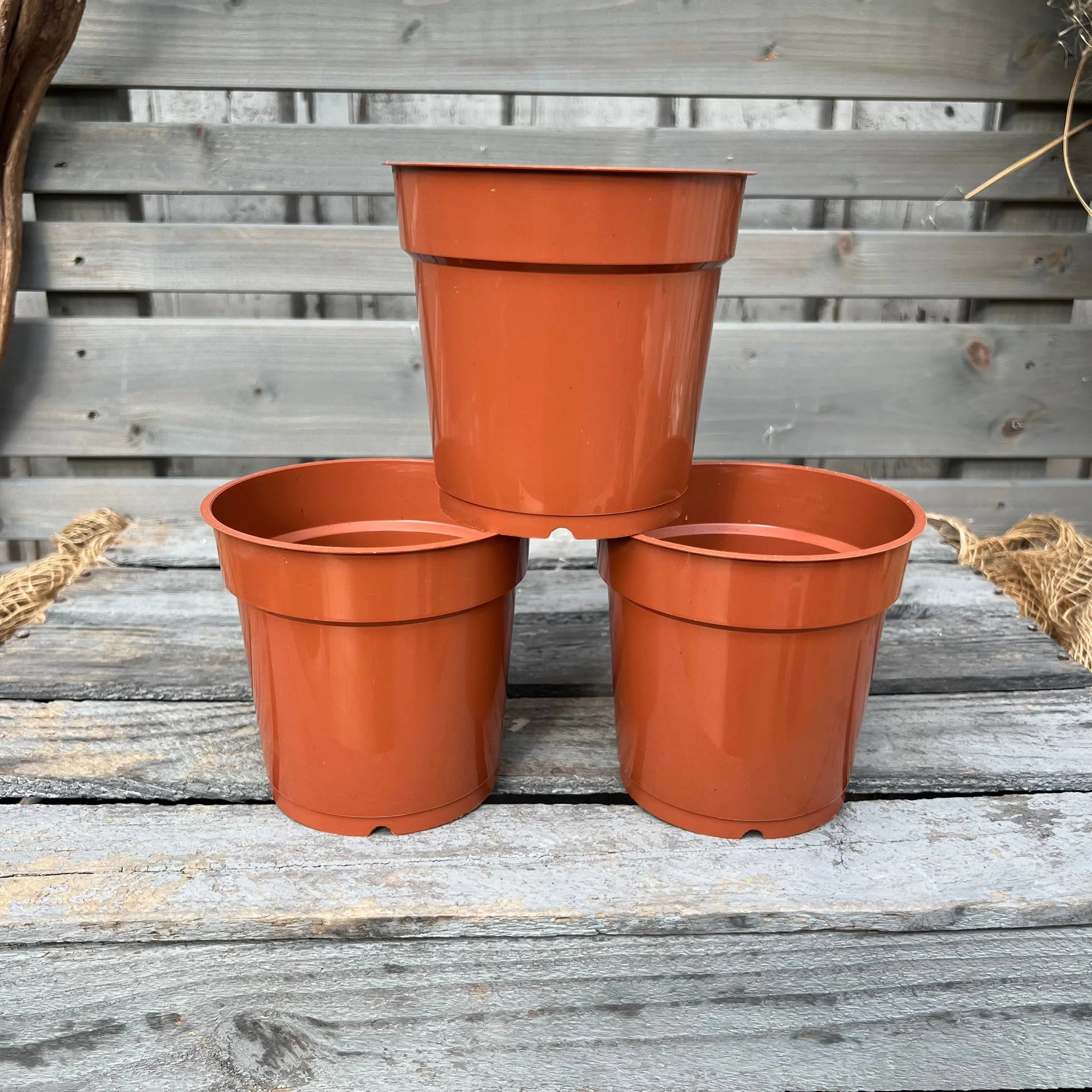 Orchideentöpfe, 12cm, terracotta BLATTPOST
