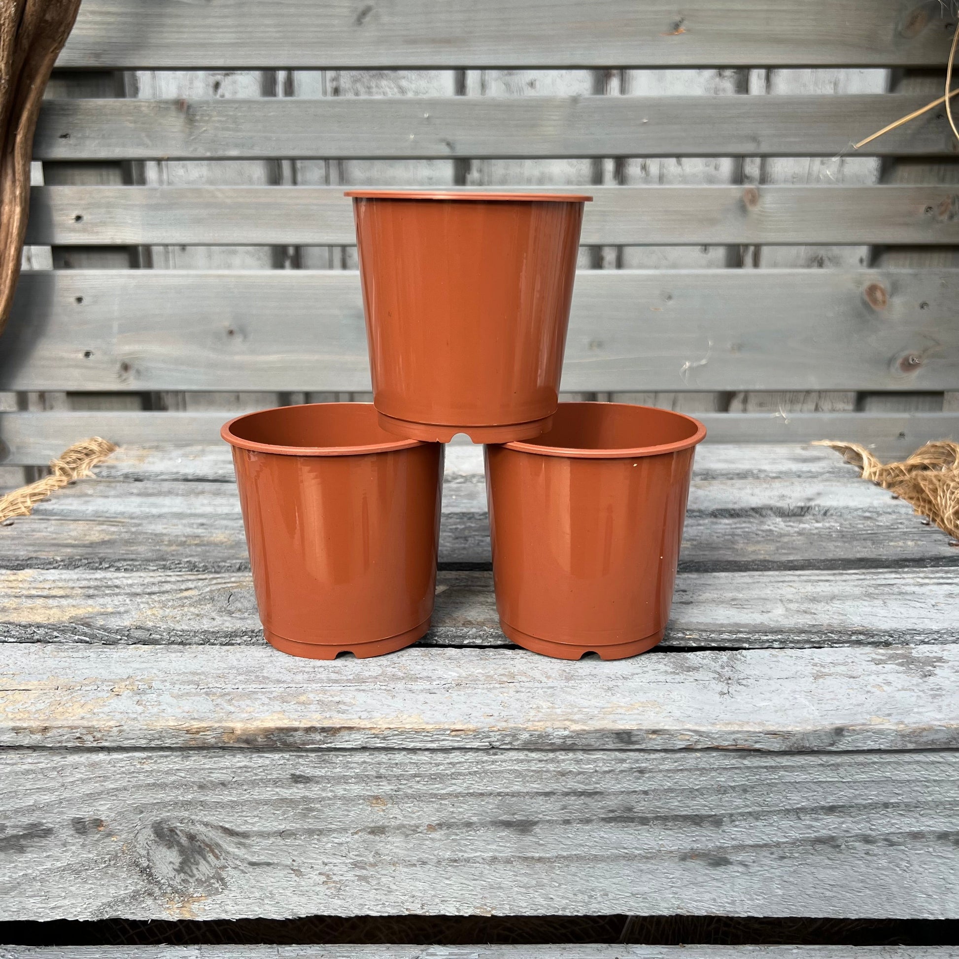 Orchideentöpfe, 9cm, terracotta BLATTPOST