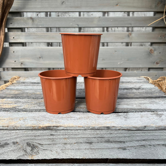 Orchideentöpfe, 9cm, terracotta BLATTPOST