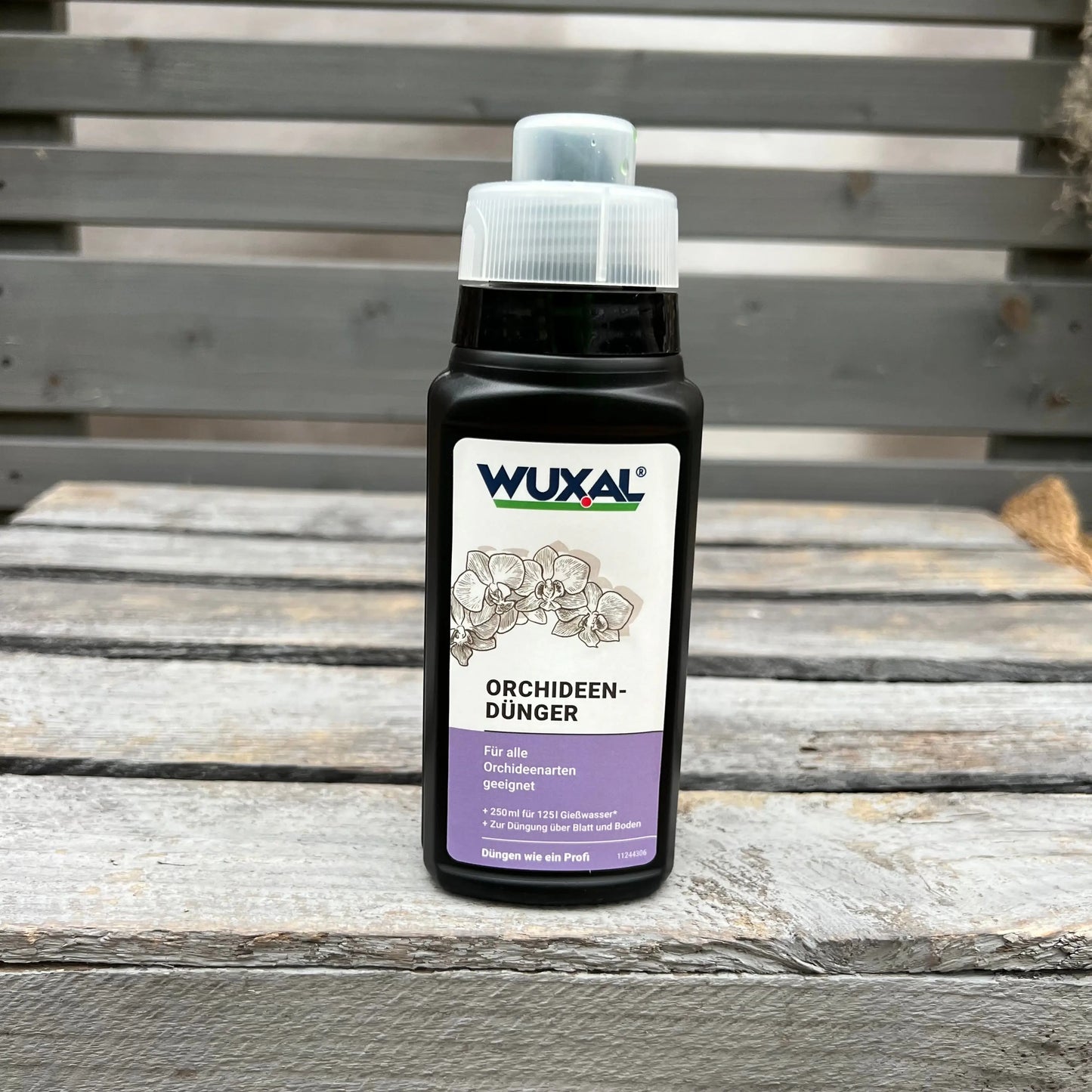 Weihnachtsbox – Das perfekte Geschenk für Orchideenfans