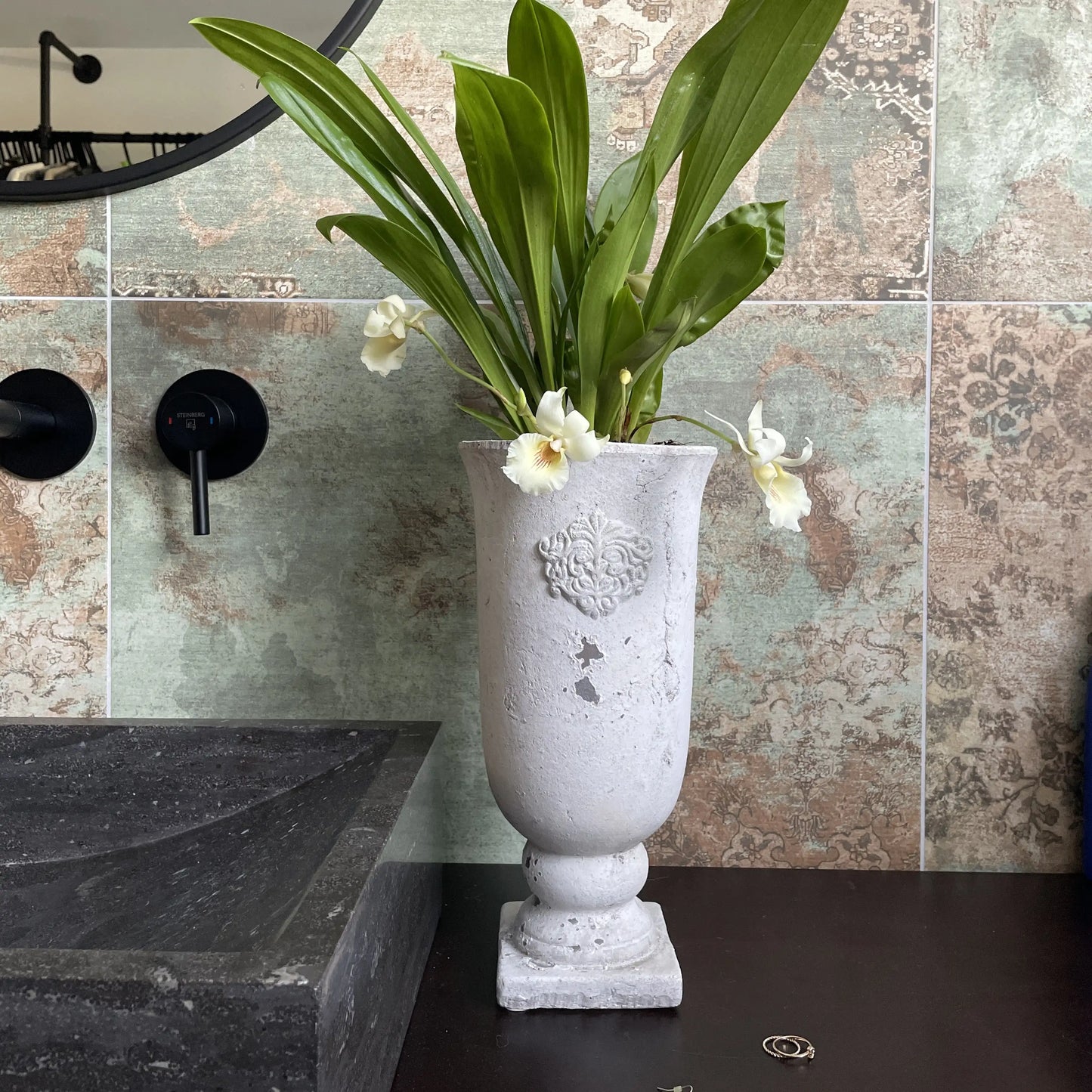 Tropische Cochleanthes Orchidee mit eleganter Blütenform