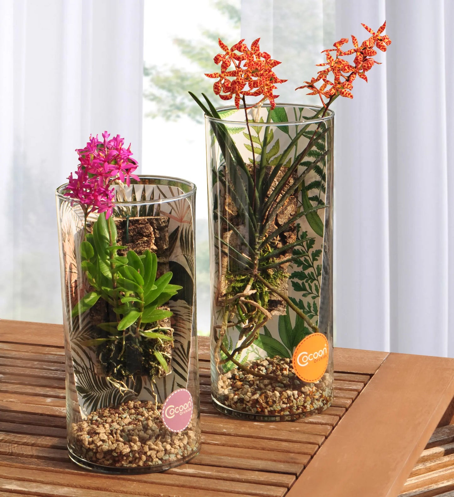 Orchidee im Glas – Cocoon Orchid der Saison von Blattpost